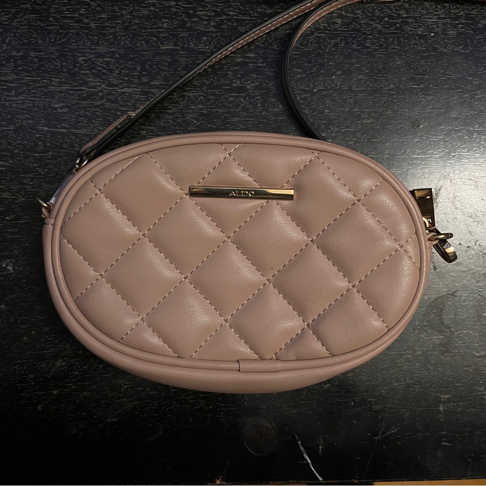 Aldo Belt Crossbody Bag
